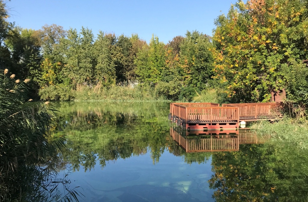 Заводь на реке Дон Заводь на реке Дон